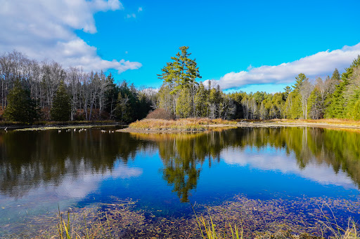 O'Hara Mill Homestead and Conservation Area - Thumbnail