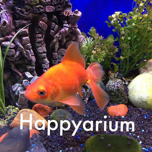 Happyarium - Cobham - Thumbnail