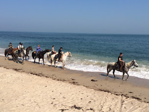 Photo n°19 de Equid'Ext à Culey-le-Patry (Centre de randonnée équestre)