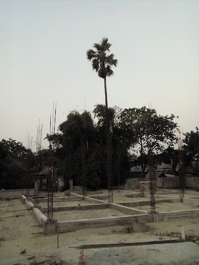 Photos of রতনপুর তাল গাছ