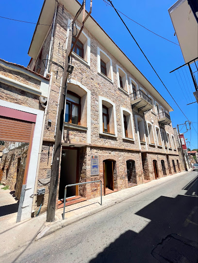 Elite Fitness Gym & Wellness