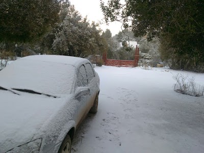 Photos of Altos del pehuen