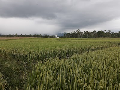 Photos of KUMBA ULEEGLE BANDAR DUA PIDIE JAYA