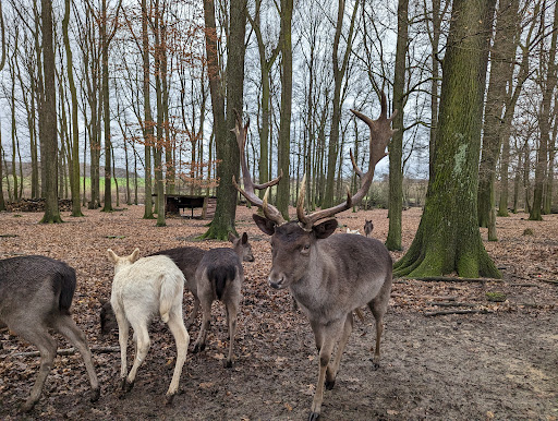 Wildpark Hamm