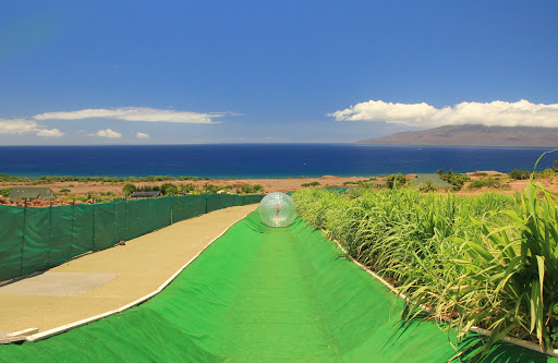 Paradise Eco Adventures - Thumbnail