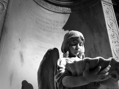 Photos of Haunted Savannah Tours