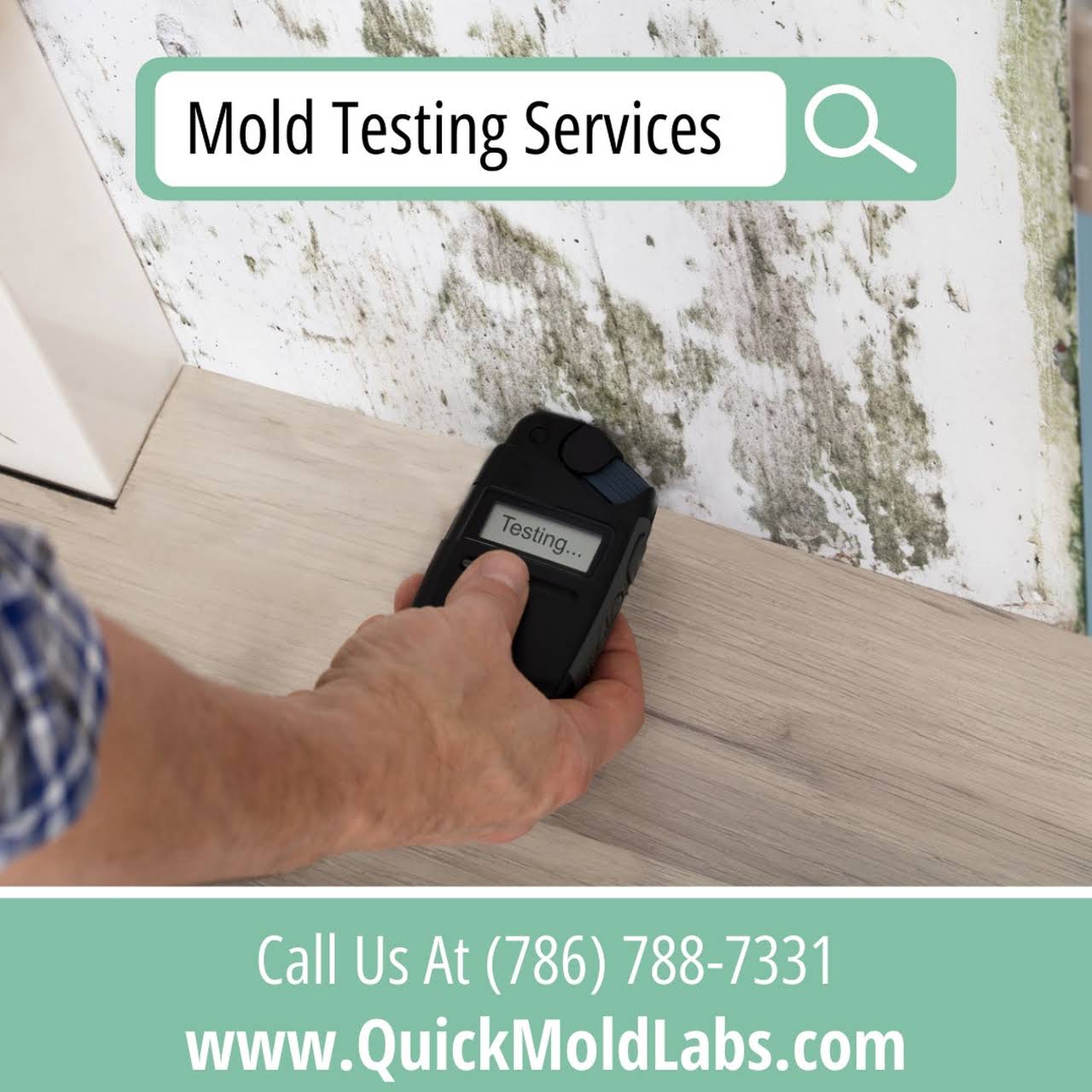 Miami Mold Testing