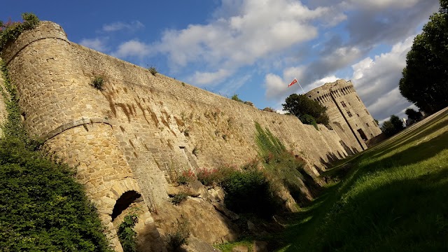 Château de Dinan