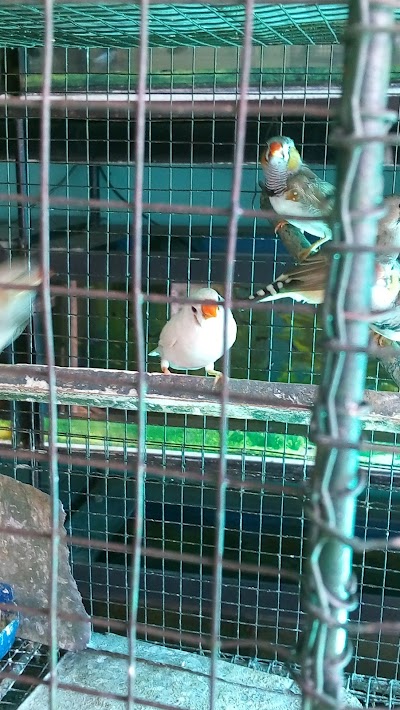 Photos of Sagara Aquarium