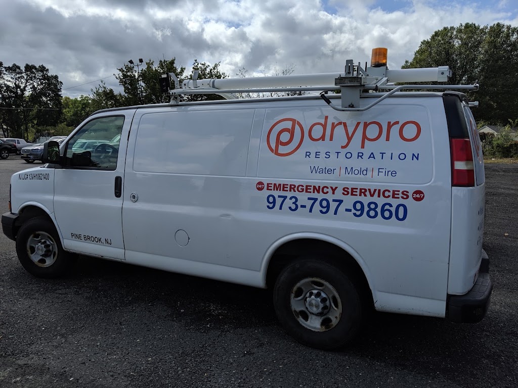 DryPro photo