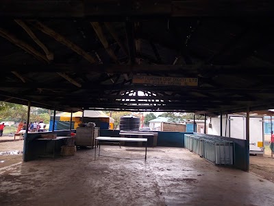 Photos of Fish Market