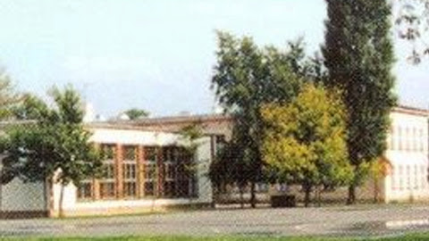 Opinie o Publiczna Szkoła Podstawowa nr 10 im. Henryka Sienkiewicza w Opole - Szkoła