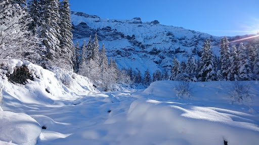 Ski School - Thumbnail