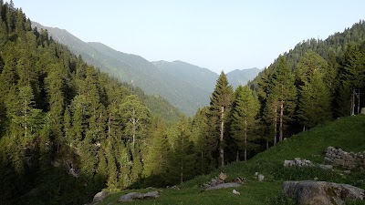 Photos of Avusor Yaylası