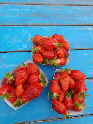 Photo n°5 de LIORZH AN DRO-HEOL à Quemper-Guézennec (Ferme bio)