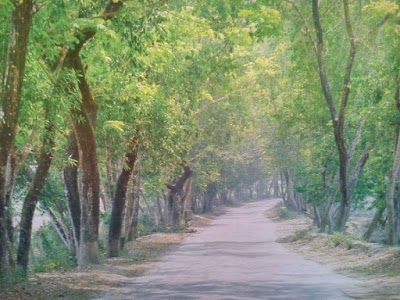 Photos of Alikadam Bazar