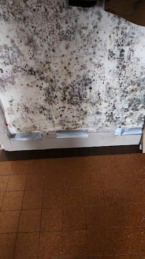 Elis Pest Control Hauts-de-France (Trade Services) - France