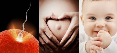 Photos of ACUPUNTURA PARA FERTILIDAD y REPRODUCCION ASISTIDA DURGA DE TERREL