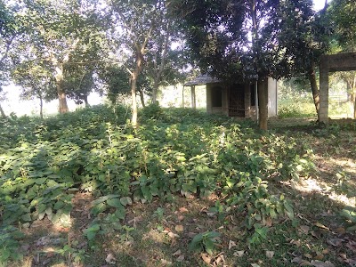 Photos of Anantapara Kali Mondir