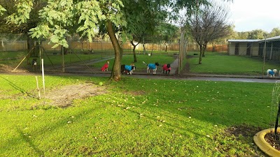 Photos of Appy Kennels & Creche