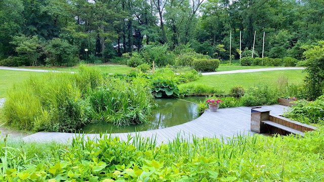 Bois des Rèves