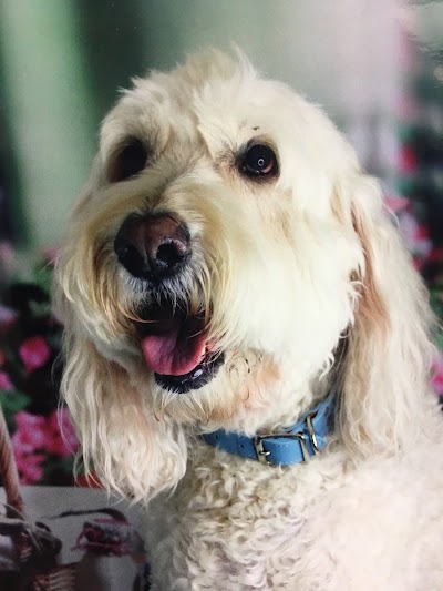 Photos of Harris Parkway Animal Hospital
