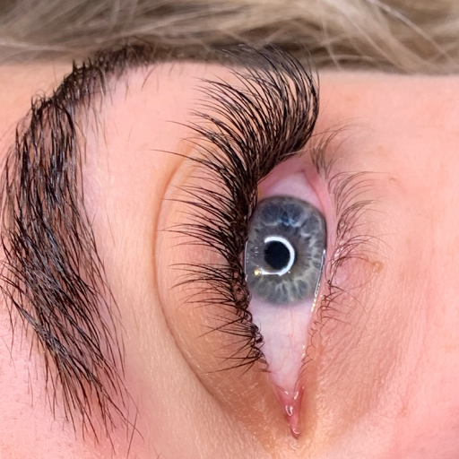 Palace Lash - Visual