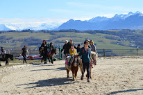 Poney-club Ponix à Vovray-en-Bornes