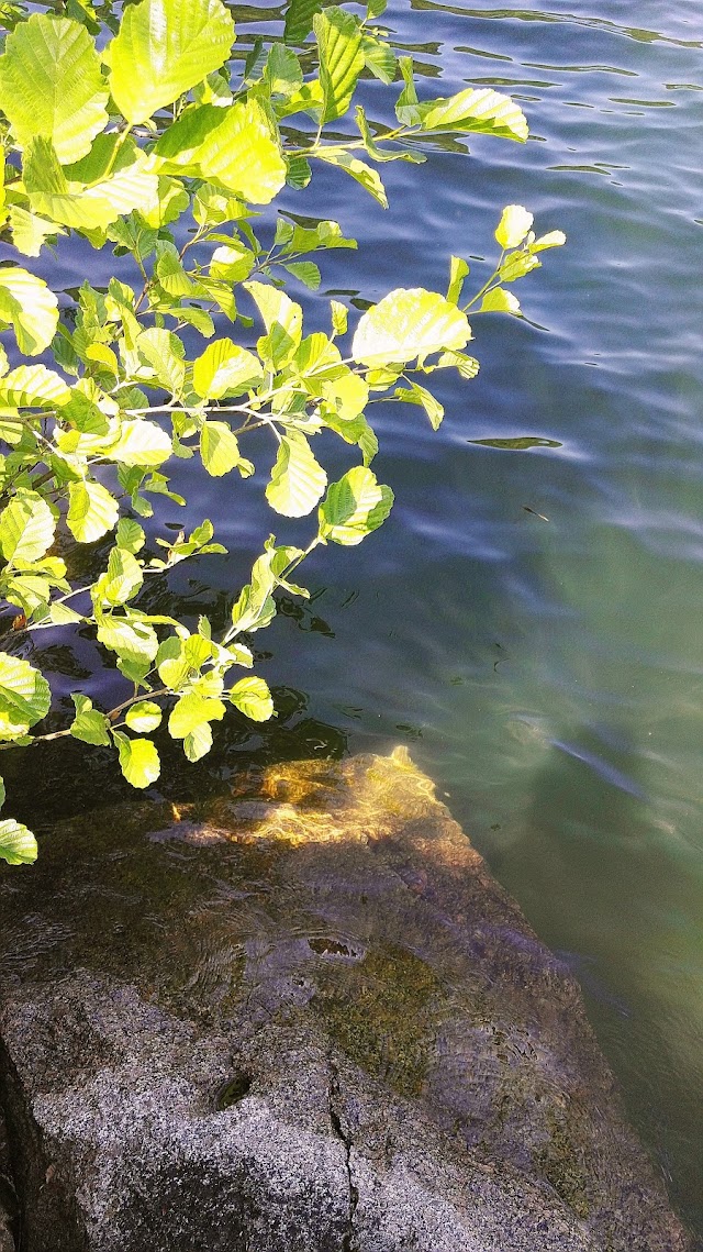Lac d'Alfeld