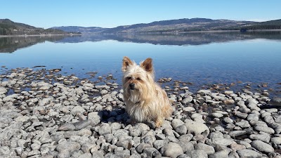 Photos of Sveastranda Camping