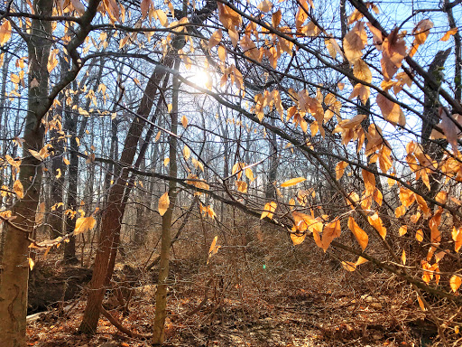 John S Watson Park - Thumbnail