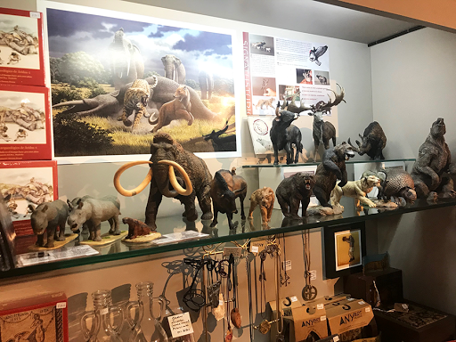 La Tienda del Museo Arqueológico Regional - LOS VIAJEROS DEL TIEMPO - Thumbnail