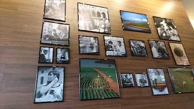 Photos of Segafredo Zanetti Espresso