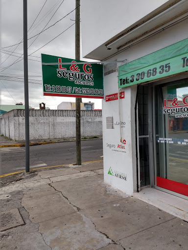 L&G Seguros