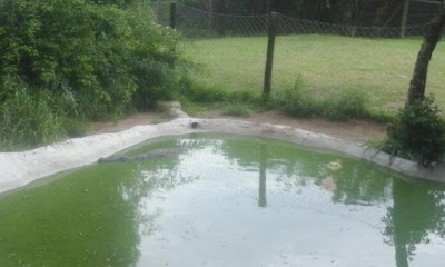 Photos of Gooderson Dumazulu Lodge & Traditional Village