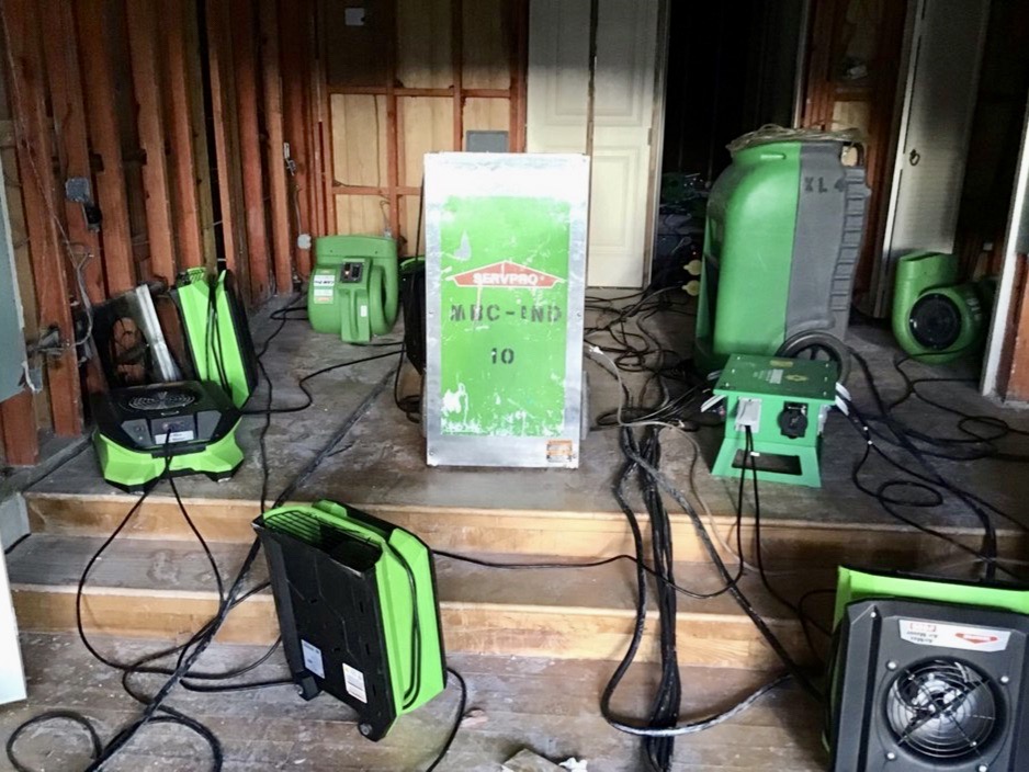Superior Mold & Water Extraction photo