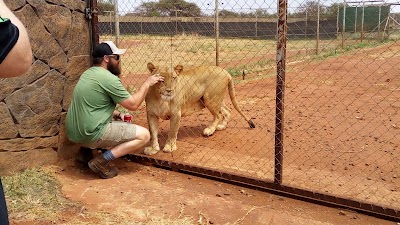 Photos of Predators Rock Bush Lodge