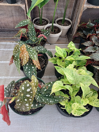 Richmond MN Farmers Market - Thumbnail