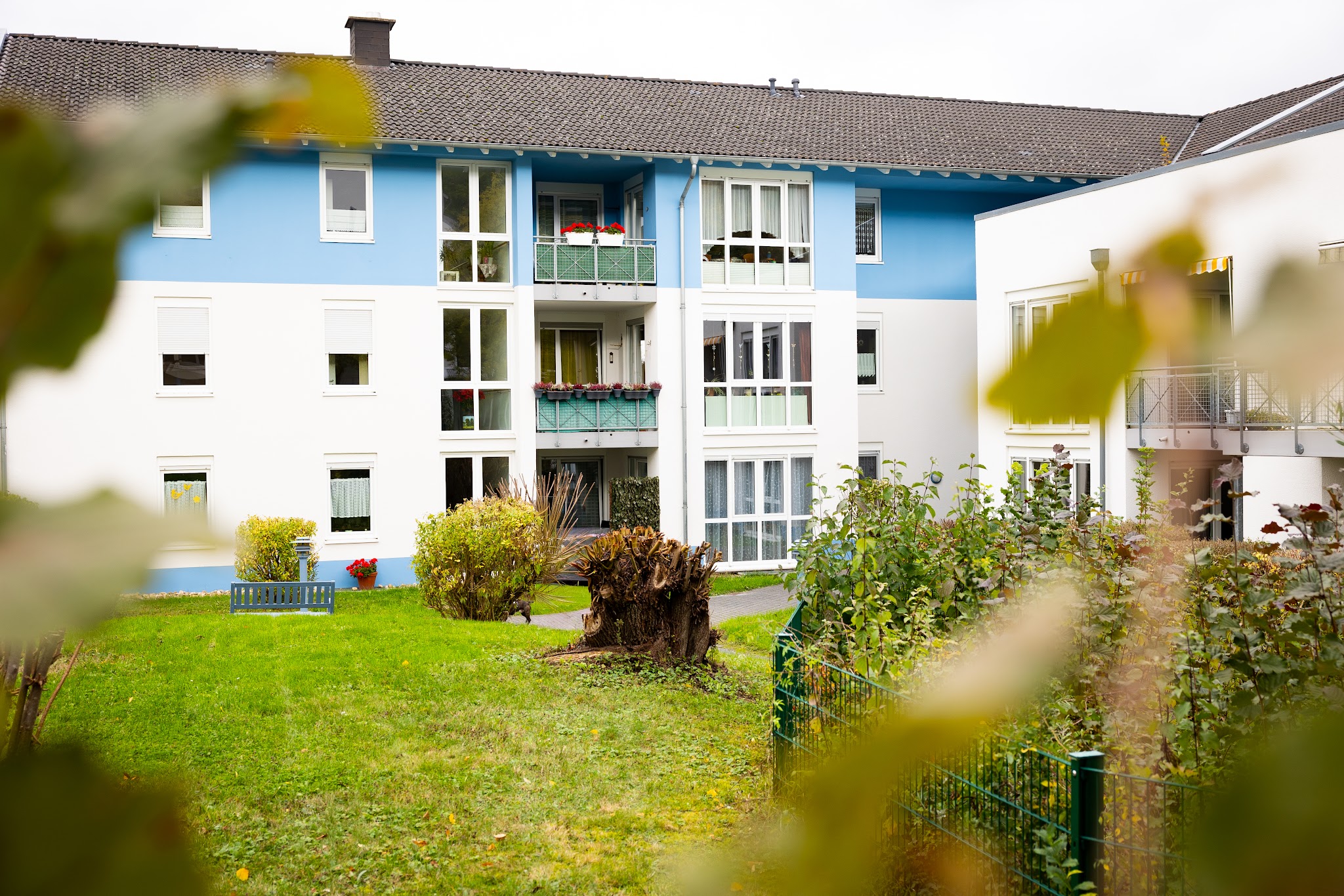 Seniorenpark carpe diem – Bild 4