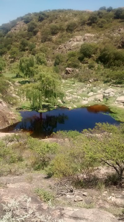 Photos of La Gota de Grasa