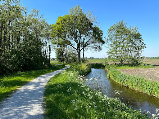 Uitkijkpunt Lytse Wiid Gallery - Netherlands