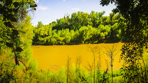 Brazos river trails - Visual