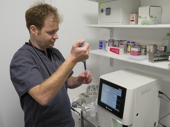 Clinique Vétérinaire An Atlantel - Vétérinaire
