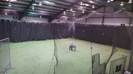 Force Elite Baseball - Visual