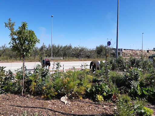 Terrapeutico
