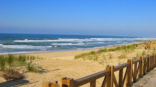 Photo n°1 de Agence Côte d'Argent SARL à Mimizan (Agent immobilier)