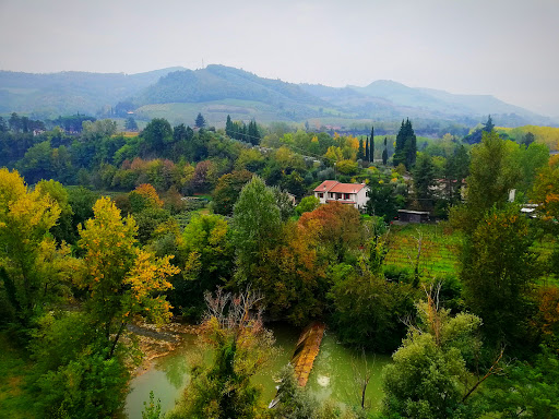 Circolo Anspi Fognano