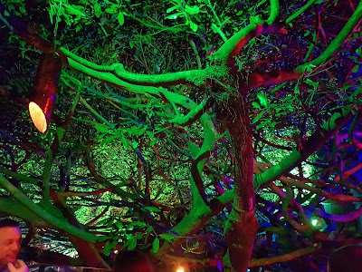 Photos of Hotel Tree House