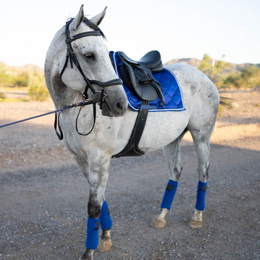 Alpine Tack - Thumbnail