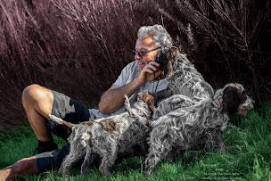 Photo n°2 de Elevage Canin des Mares Gatinaises à Azay-sur-Thouet (Éleveur de chiens)